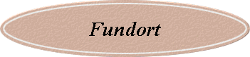 Fundort