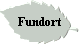 Fundort