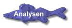 Analyse