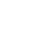 Illustration von zwei anfliegen Wespen, mit tzzzz-Sound